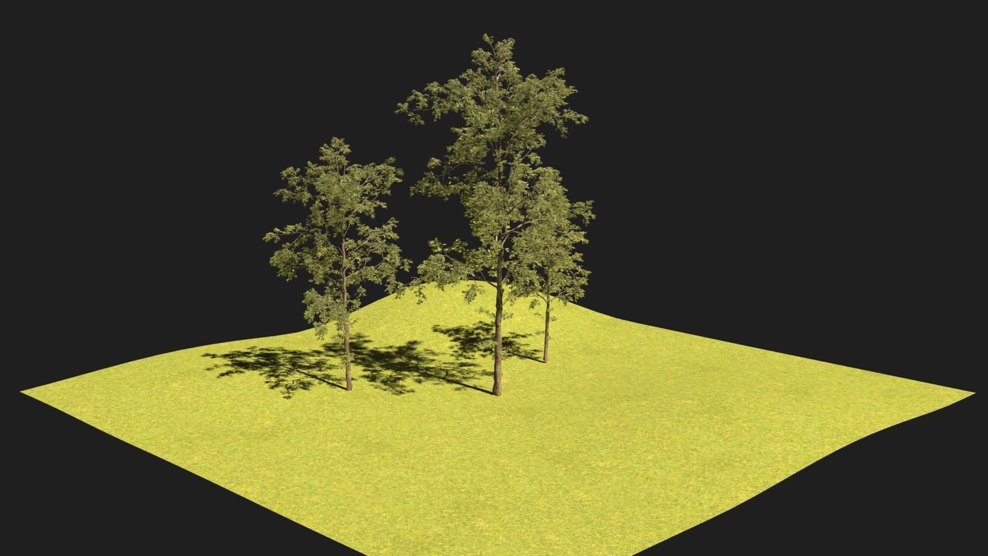 Easy Tree Simple - High Quality 3D model_3
