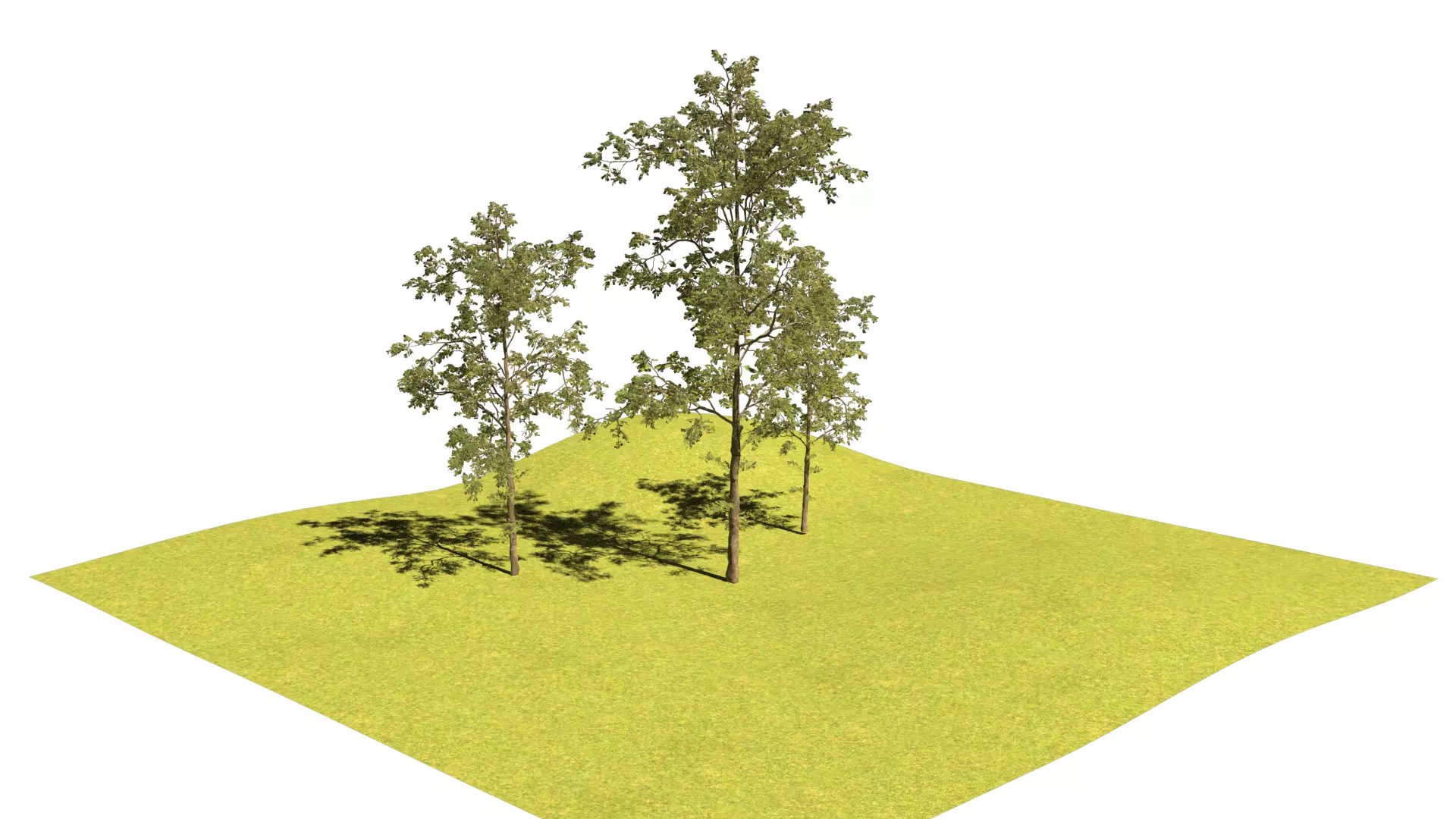 Easy Tree Simple - High Quality 3D model_0