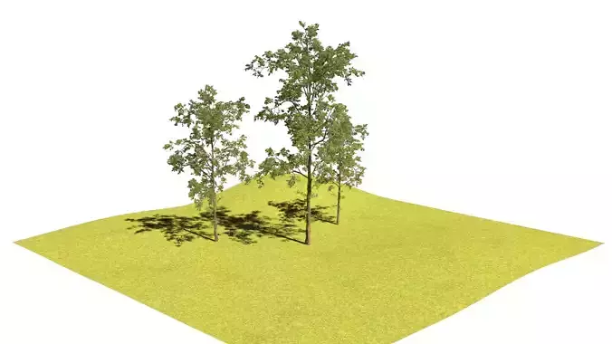 Easy Tree Simple - High Quality 3D model