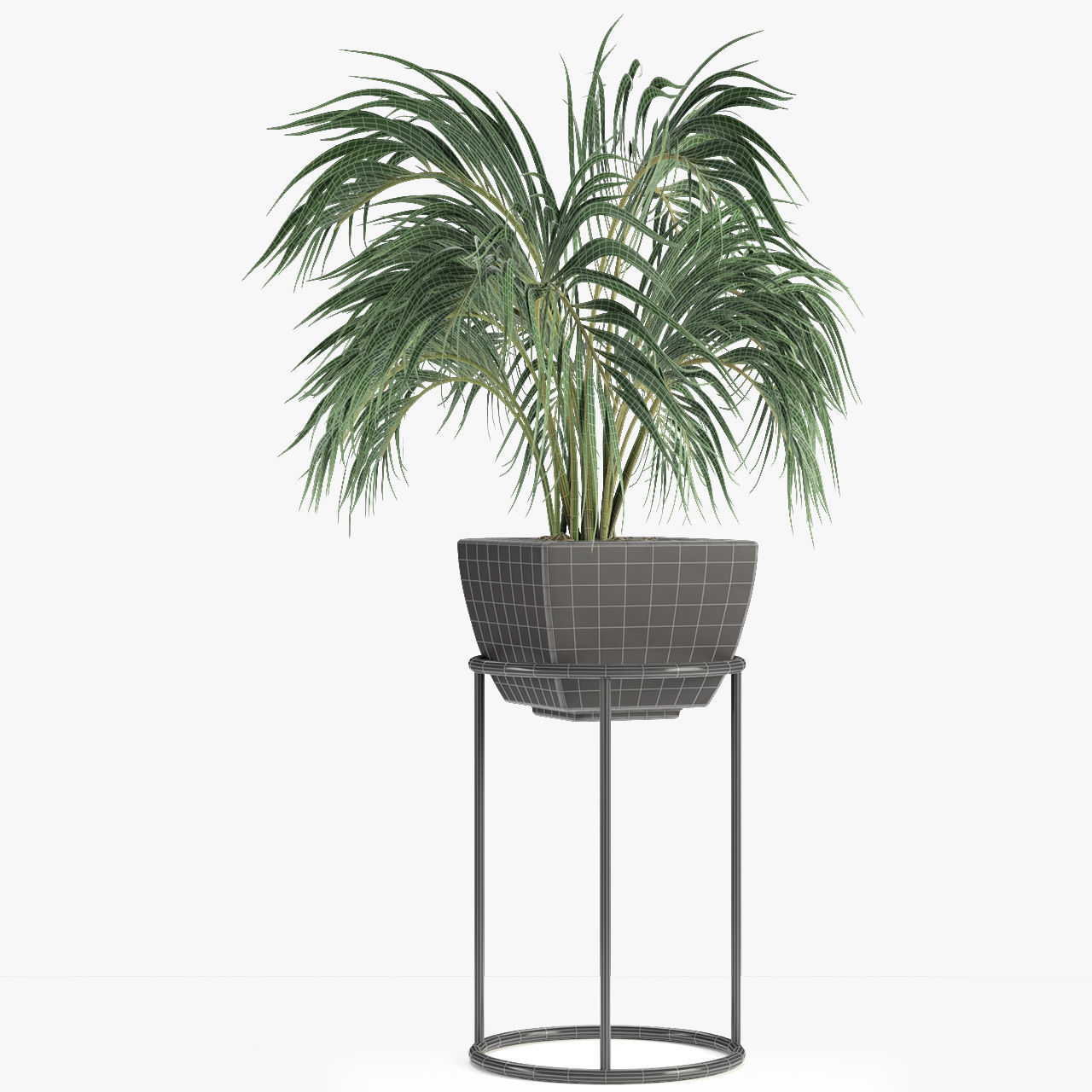 Realistic Plant Garden 3D model_3