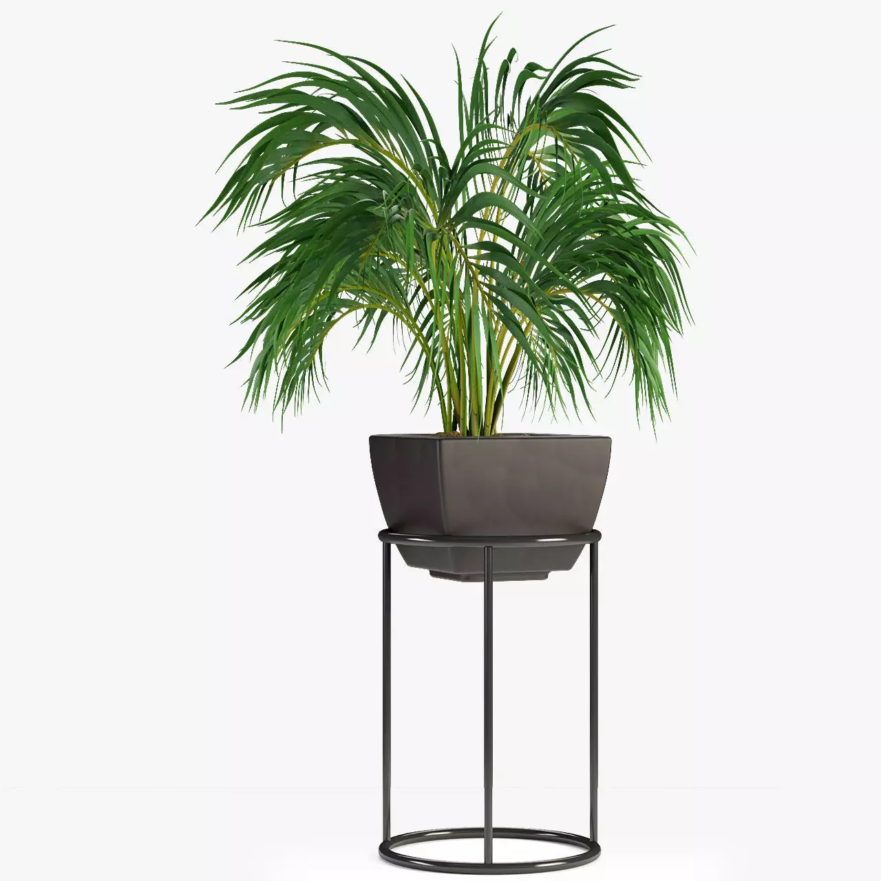 Realistic Plant Garden 3D model_0