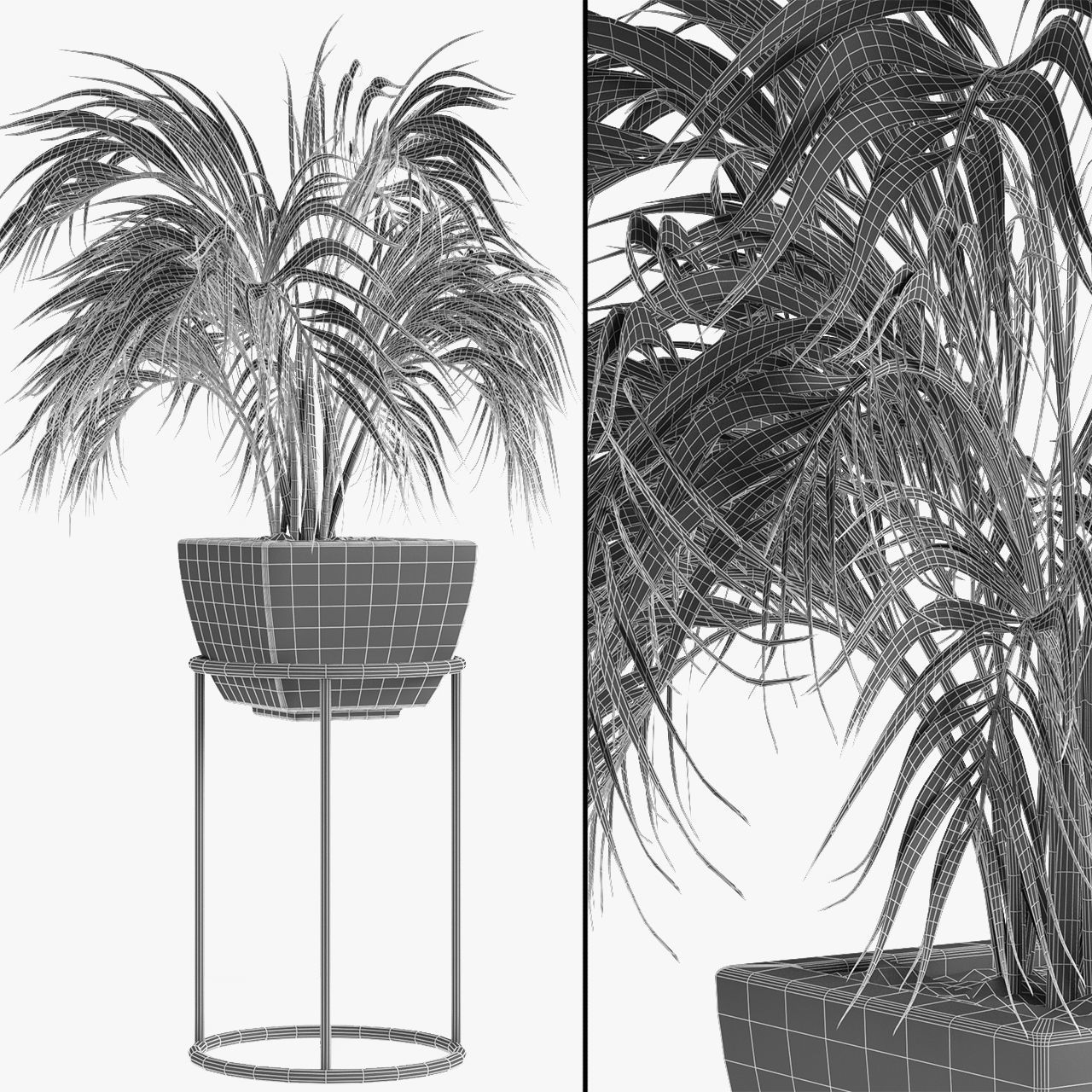 Realistic Plant Garden 3D model_4