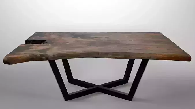 Wood Slab Table