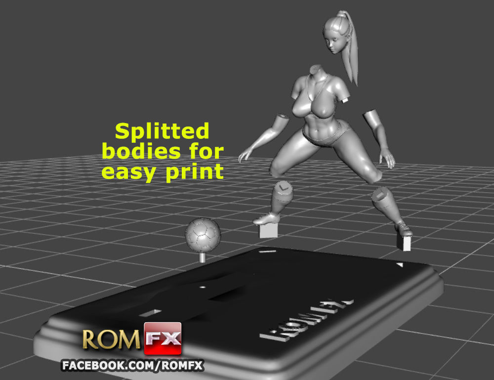 Soccer Girls - World Cup - Printable Diorama 3D print model_43