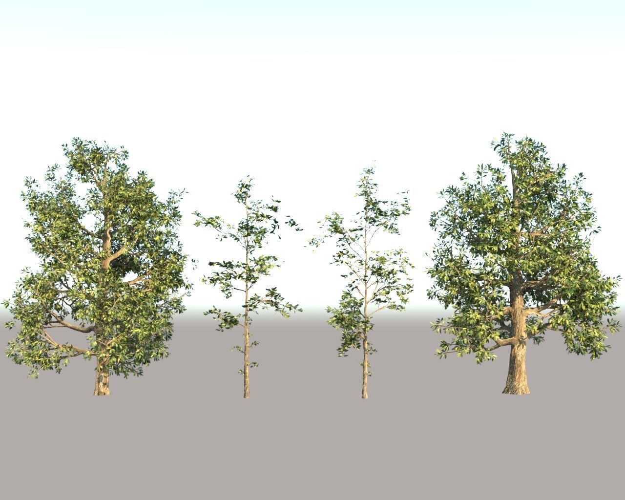 Trees Pack 3D model_1