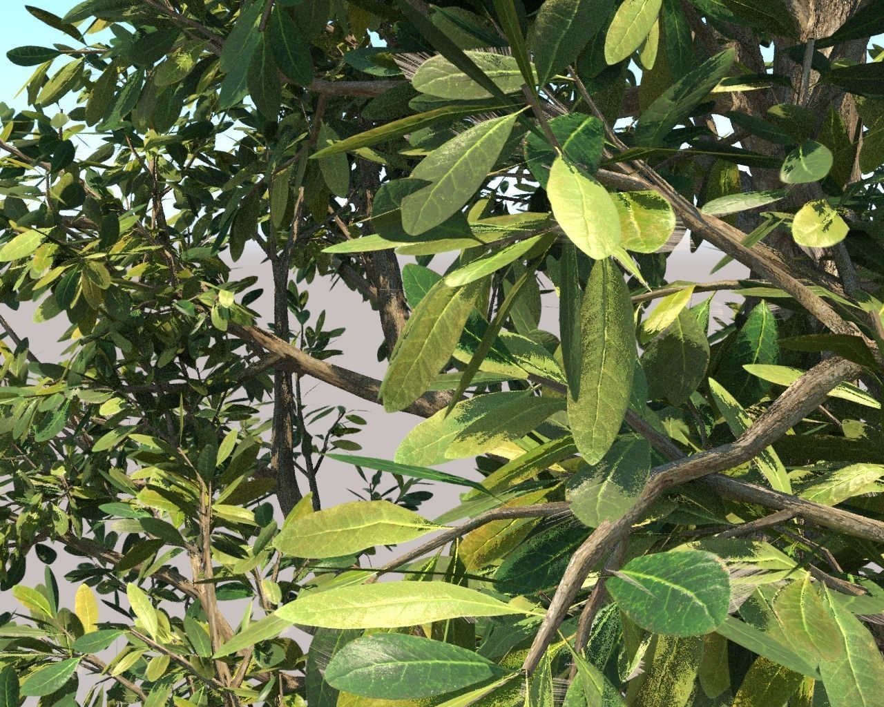 Trees Pack 3D model_2