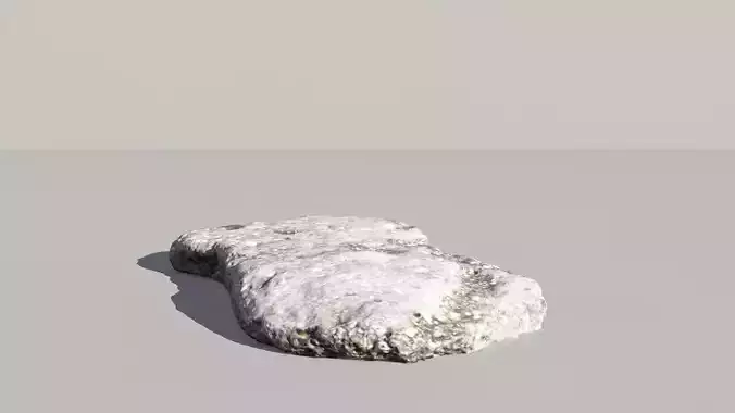 Fossil Seashells Scanned 3d Model