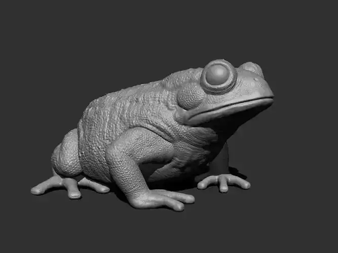 3D Bufotes for Printing 3D print model
