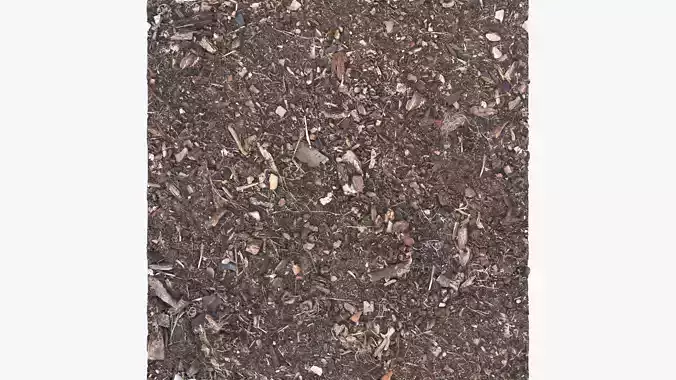 Tileable Rotten Ground Texture