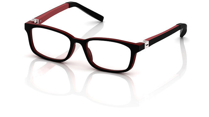 Eyeglasses for Men and Women 3D print model