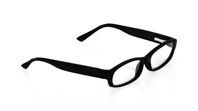 Eyeglasses for Men and Women 3D print model