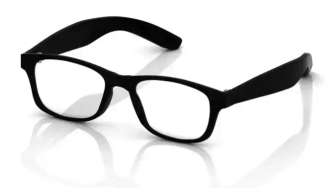 Eyeglasses for Men and Women 3D print model