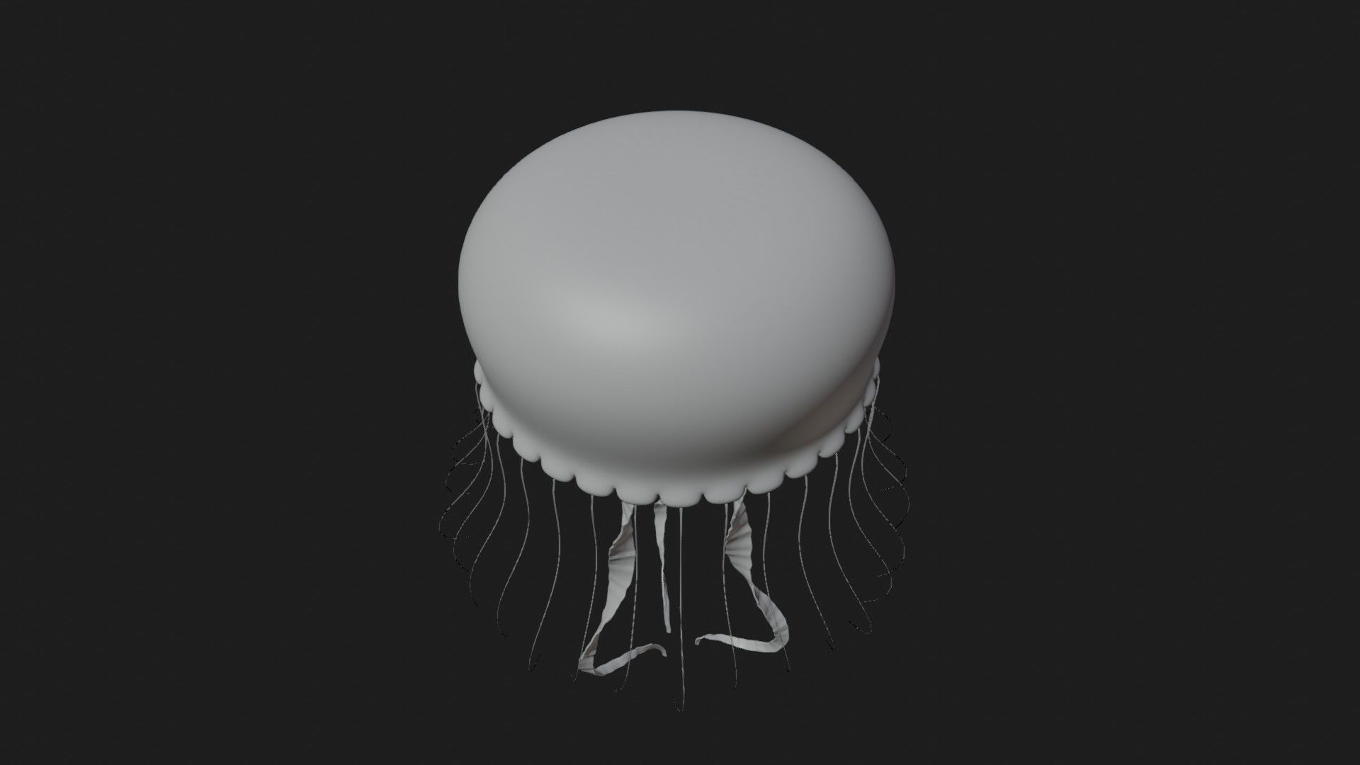 Jellyfish 3D model_5