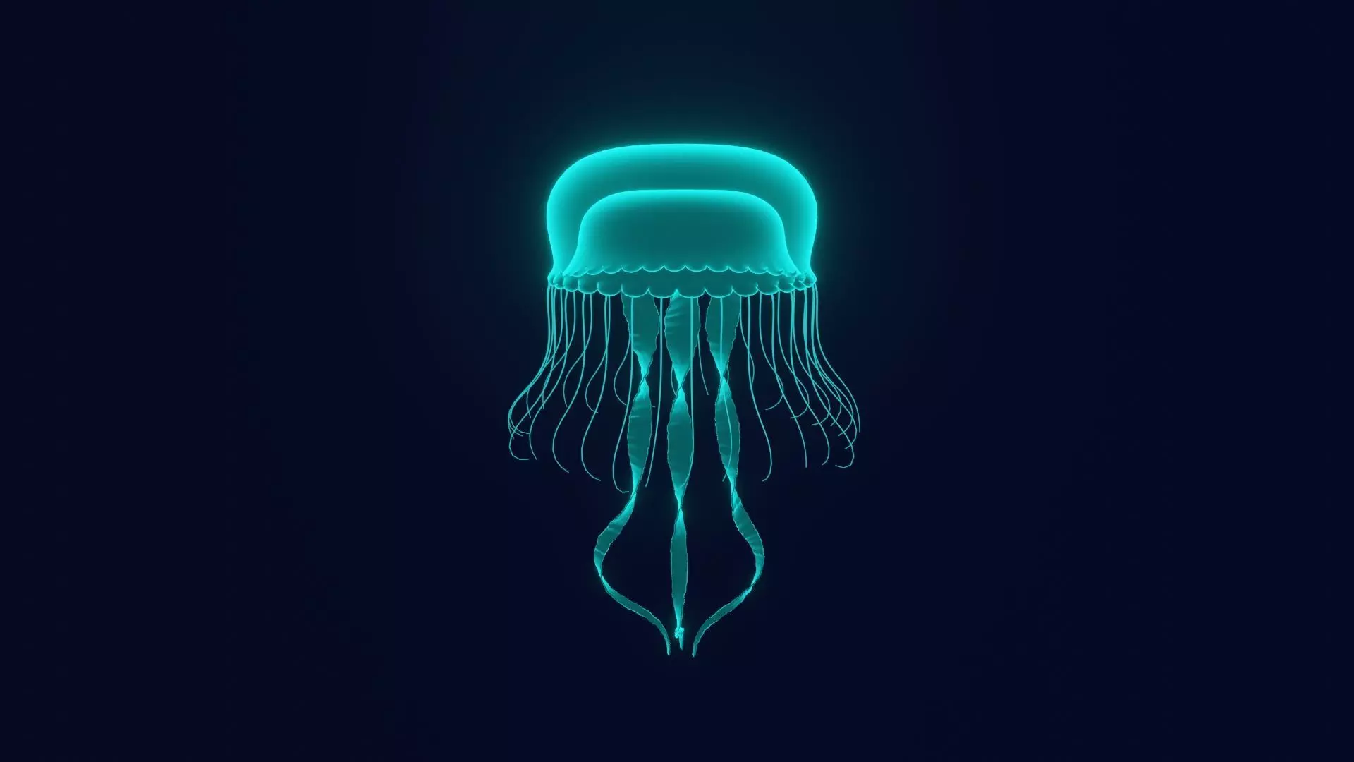 Jellyfish 3D model_0
