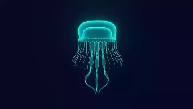 Jellyfish 3D model