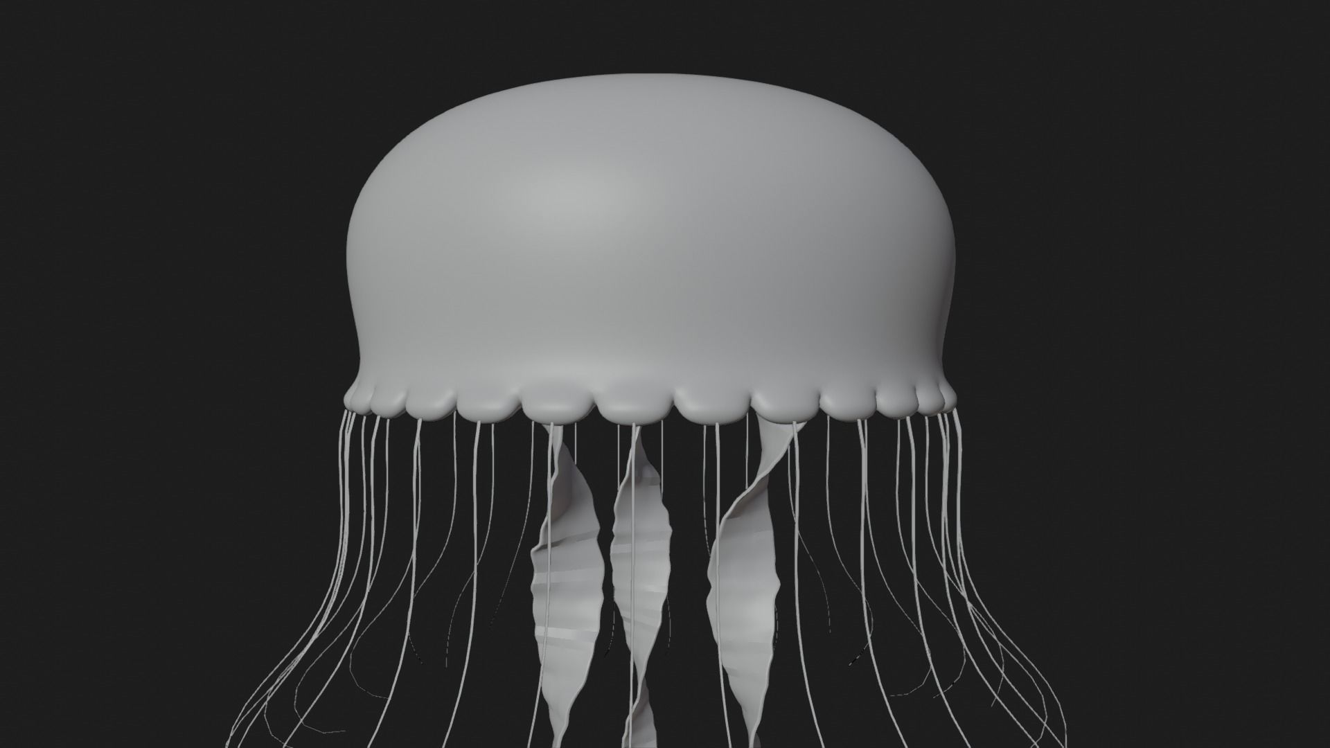 Jellyfish 3D model_2