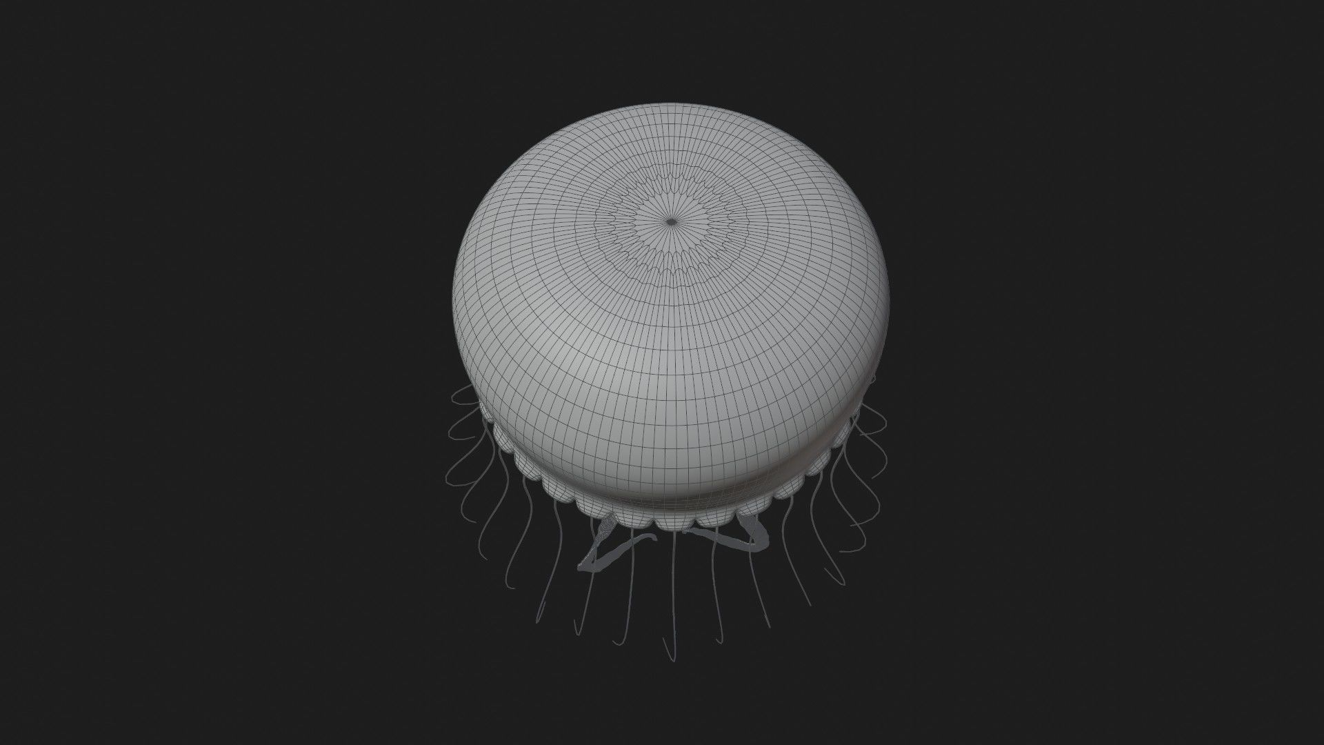 Jellyfish 3D model_6