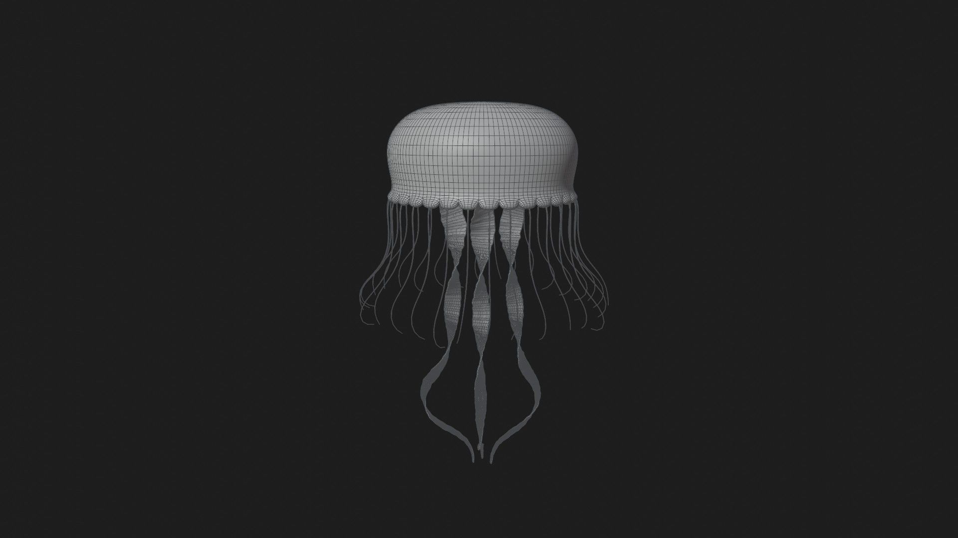 Jellyfish 3D model_3