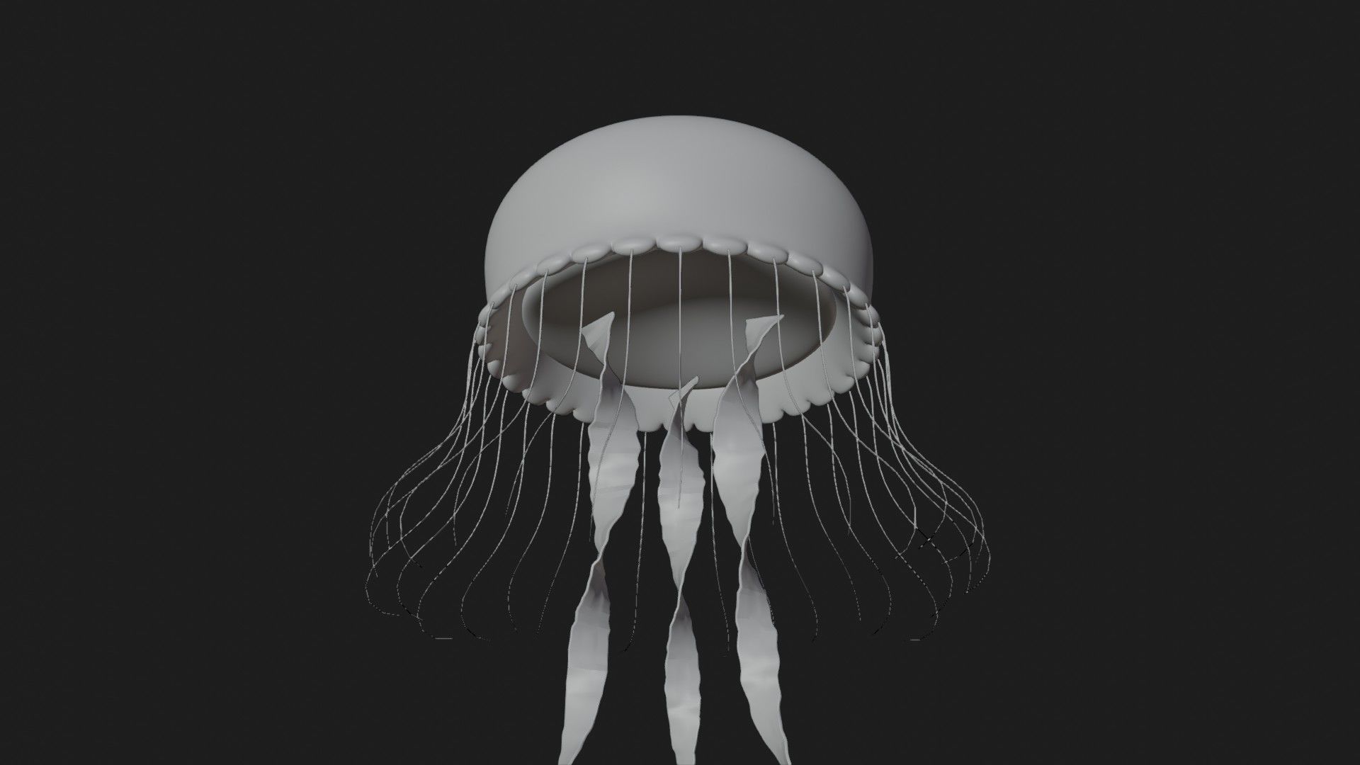 Jellyfish 3D model_4
