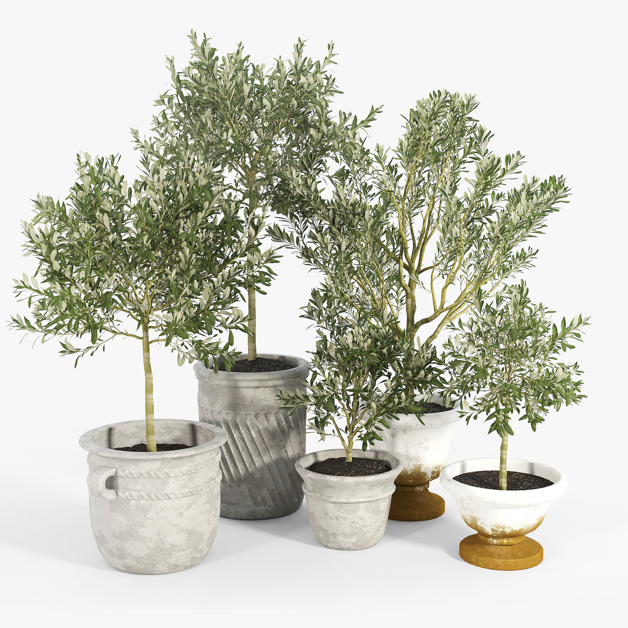 Eclectic Villa Planters 2 3D model_1
