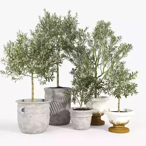 Eclectic Villa Planters 2 3D model