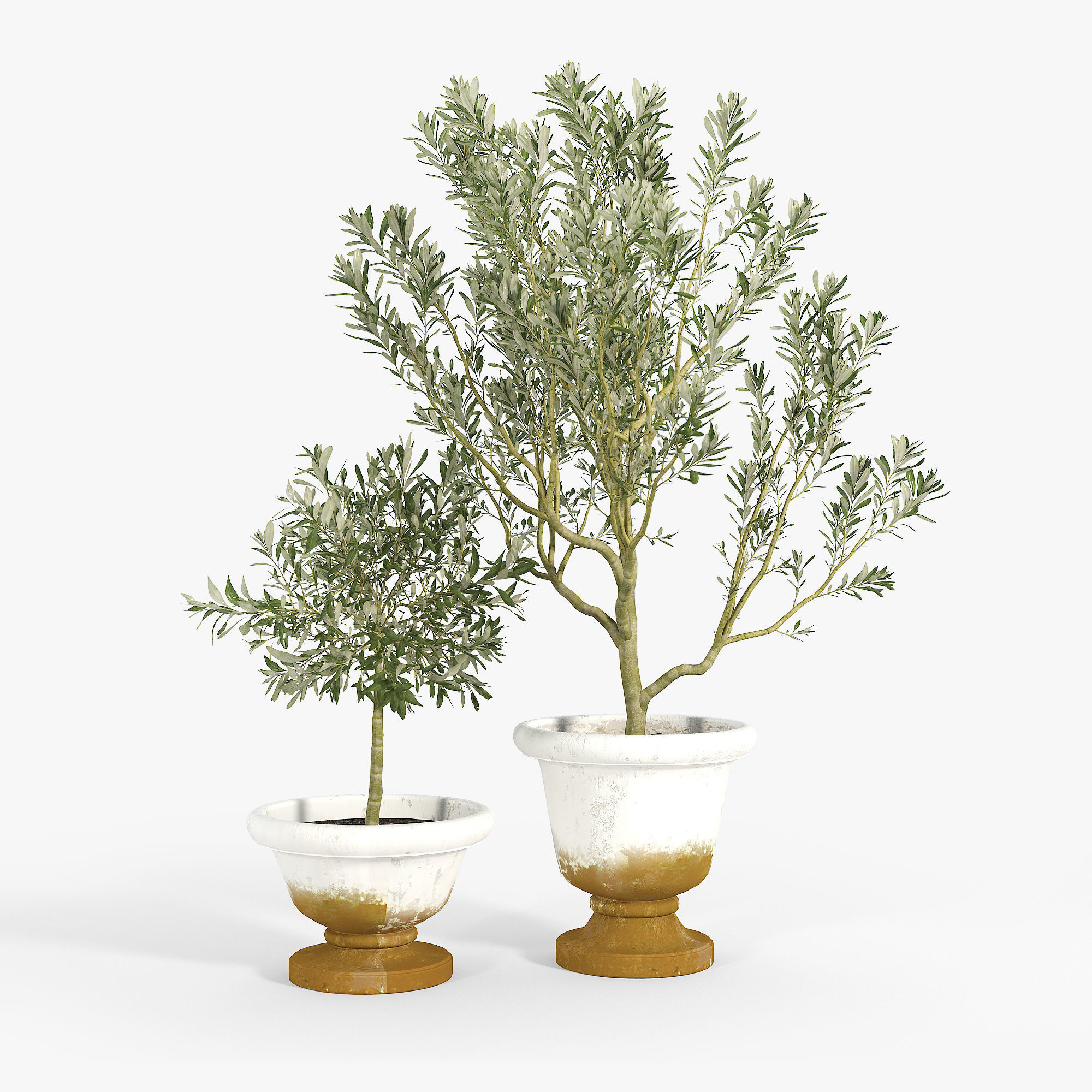 Eclectic Villa Planters 2 3D model_3