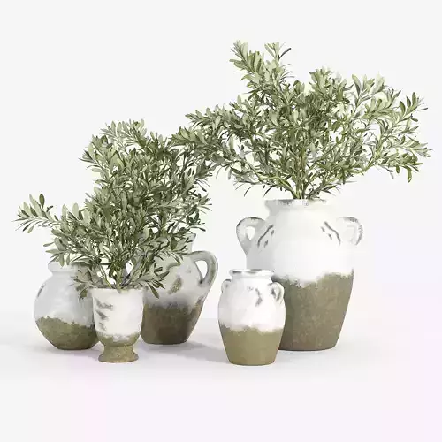 Tuscan Terra Cotta Vases