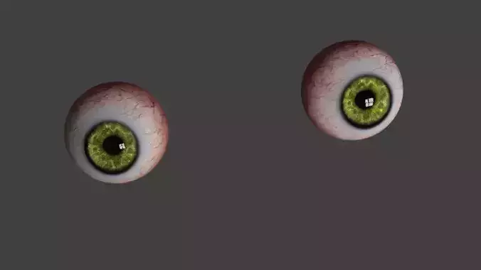 the eyes human eye