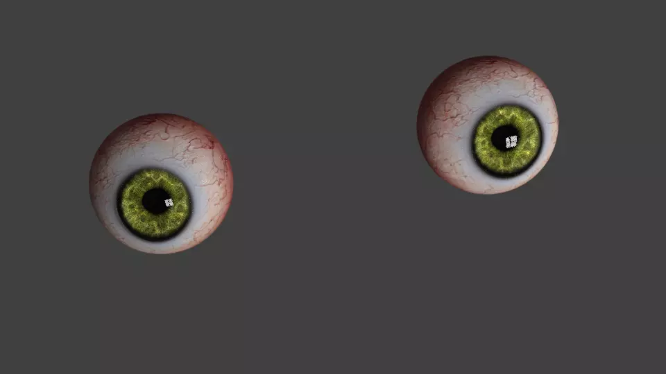 the eyes human eye Free 3D model_0