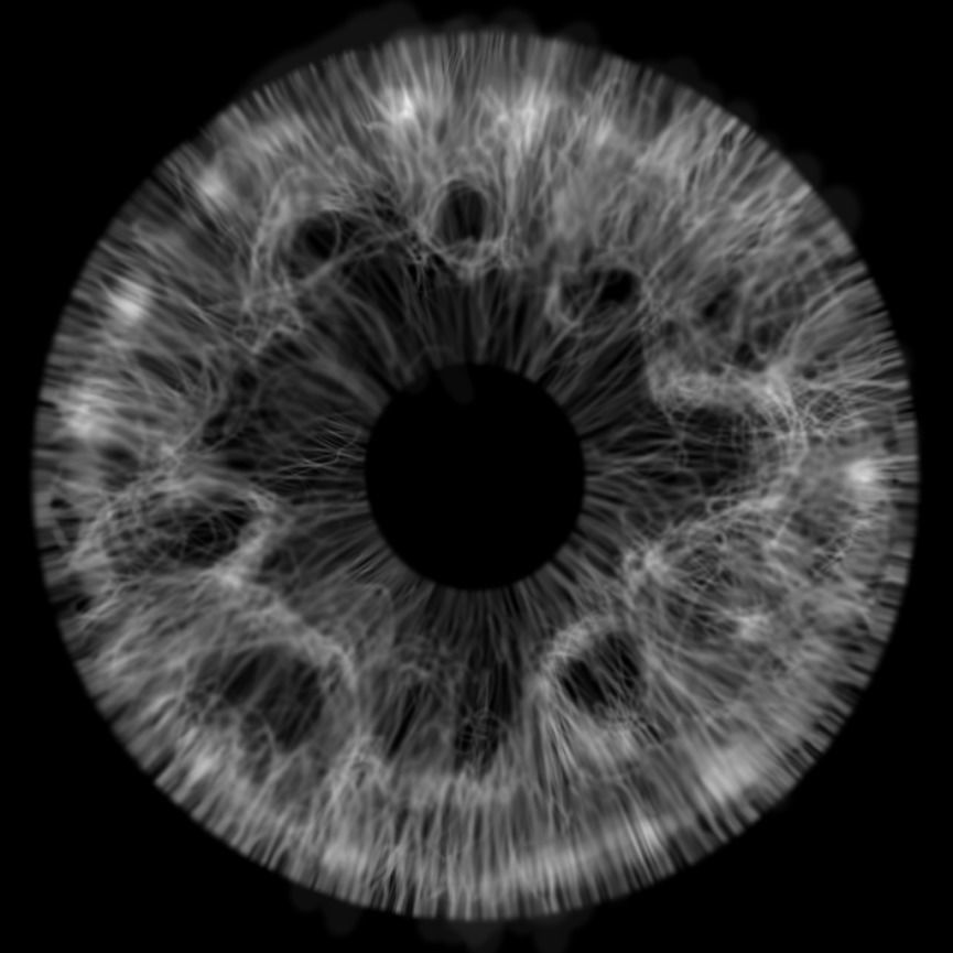 the eyes human eye Free 3D model_3