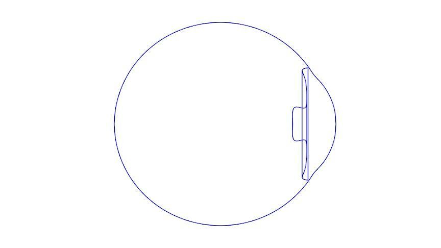 the eyes human eye Free 3D model_2