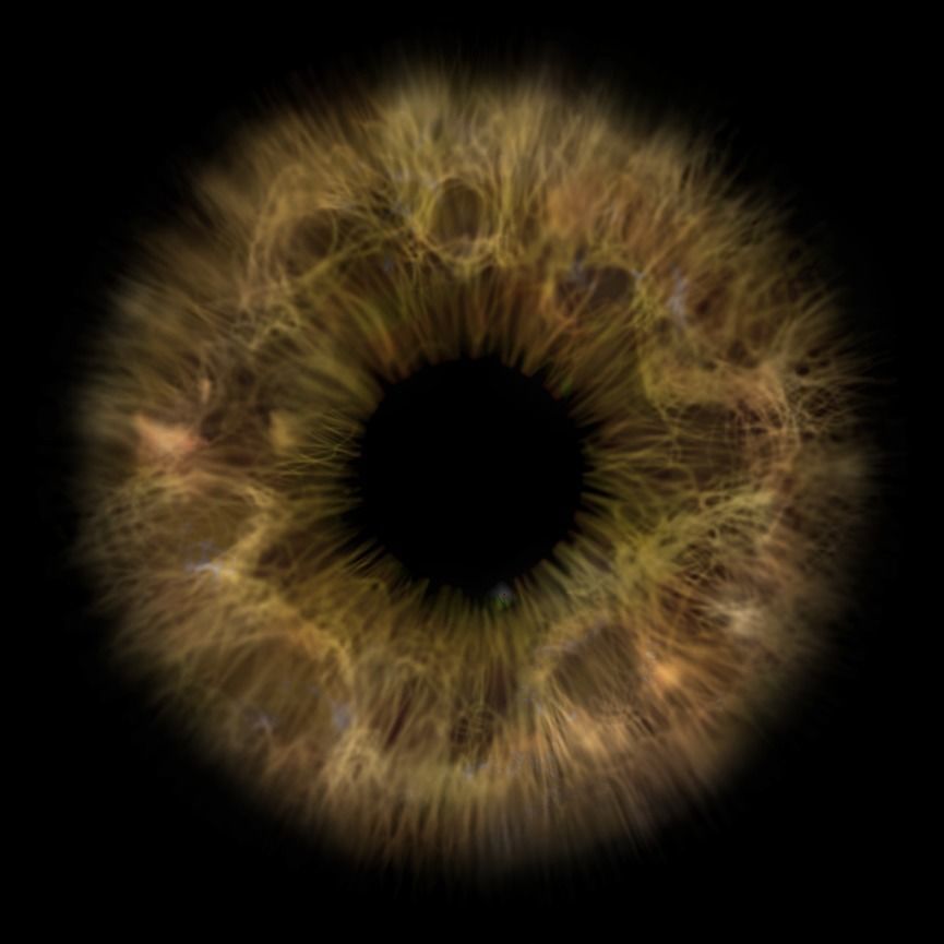 the eyes human eye Free 3D model_4