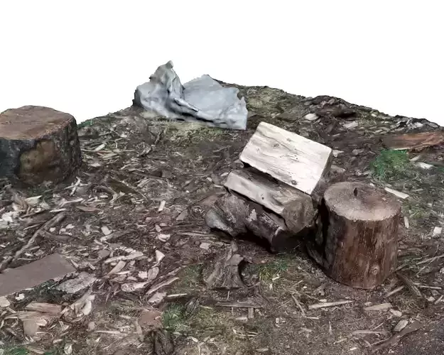 Stump and chopped wood 3D scan