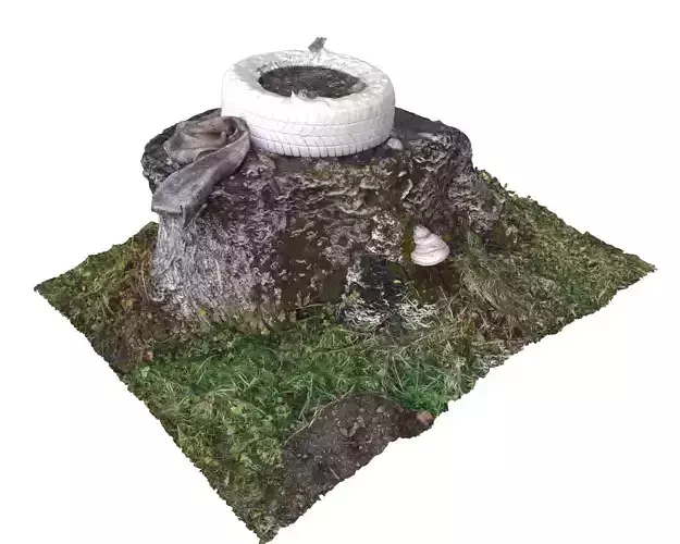 Walnut stump scanned 3D model 