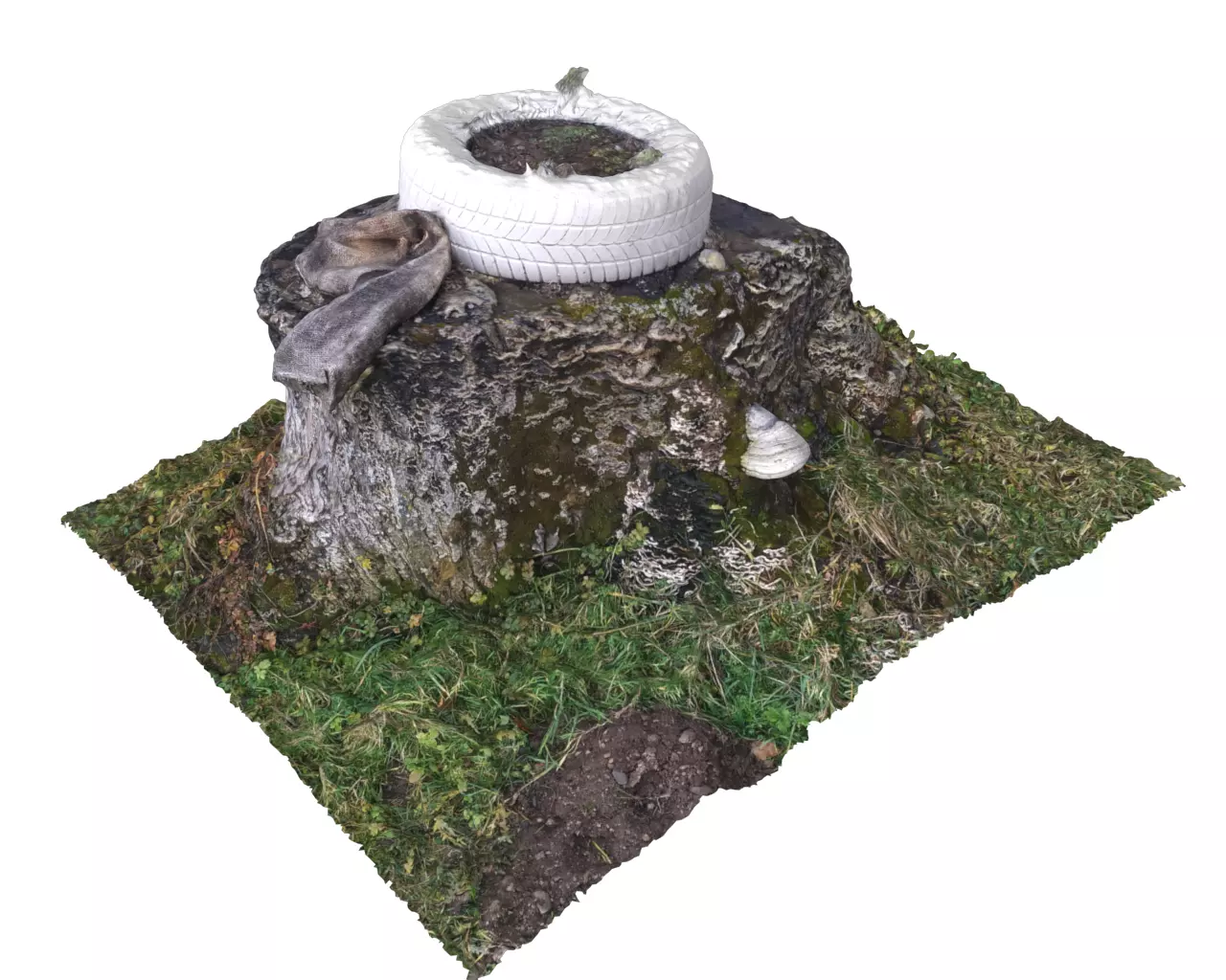 Walnut stump scanned 3D model  3D model_0