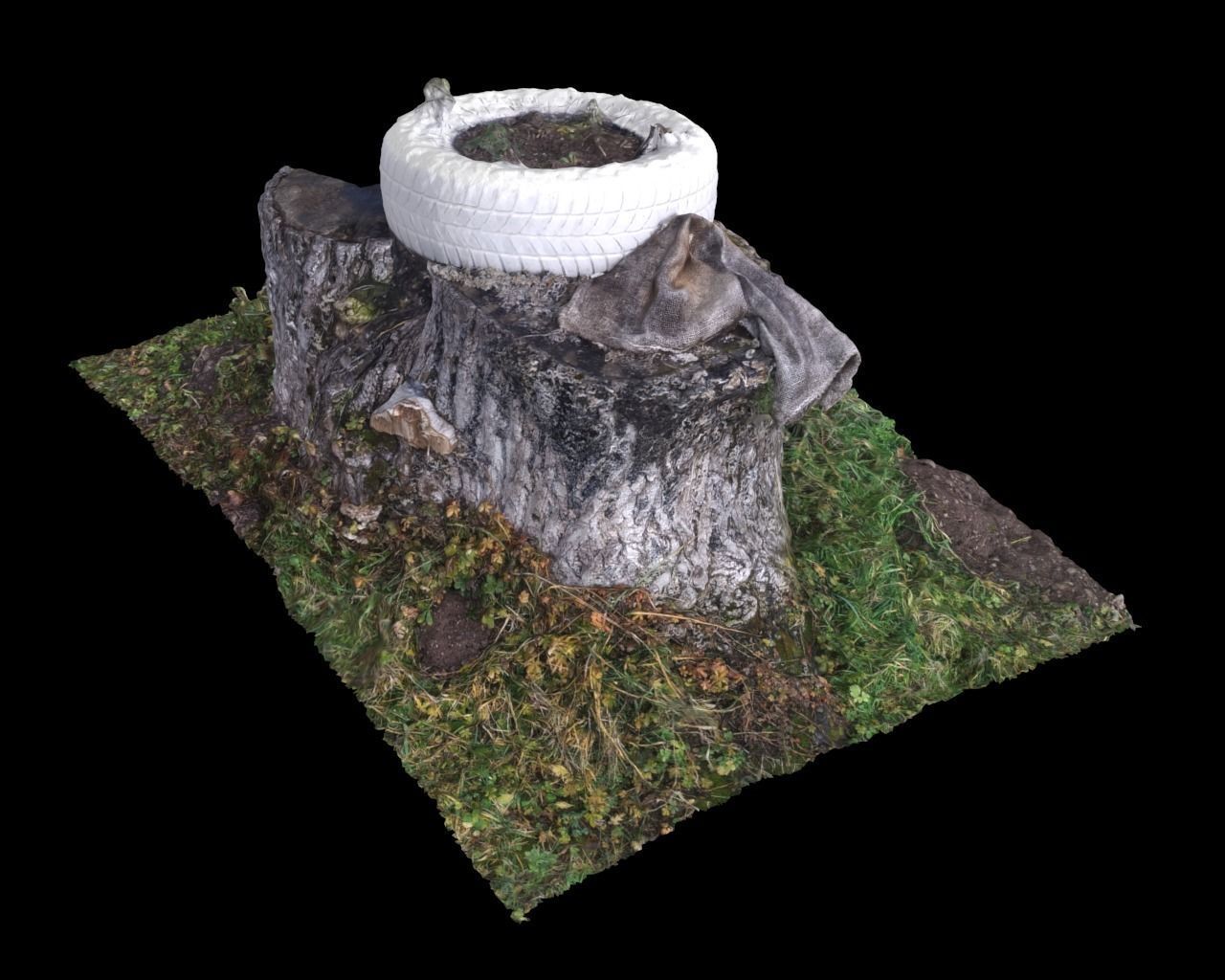 Walnut stump scanned 3D model  3D model_3