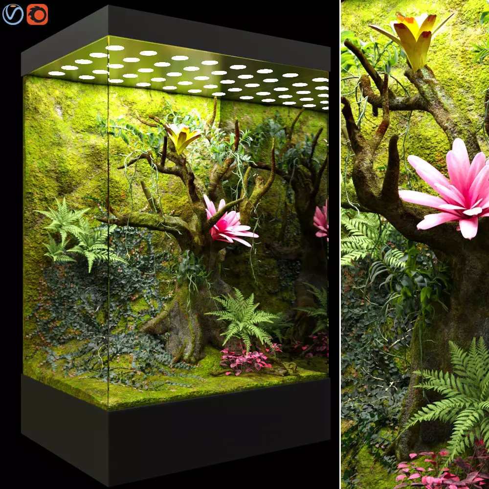 Paludarium terrarium design Low-poly 3D model_0