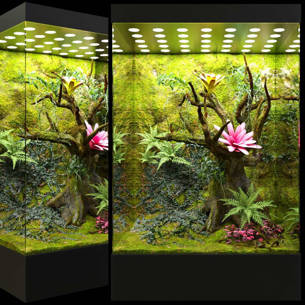 Paludarium terrarium design Low-poly 3D model_1