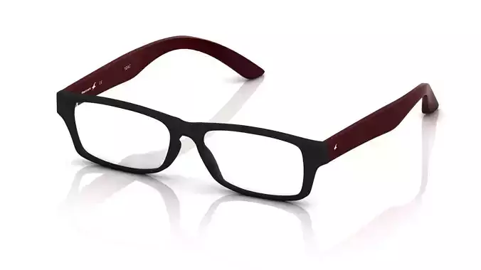 Eyeglasses for Men and Women 3D print model