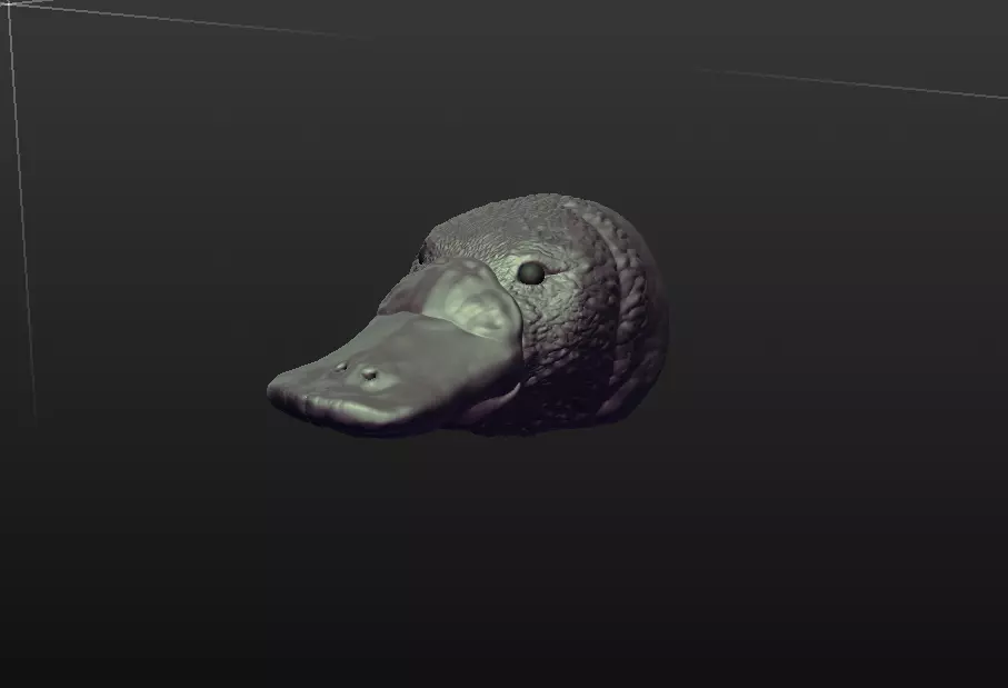 Duck billed Platypus 3D print model_0