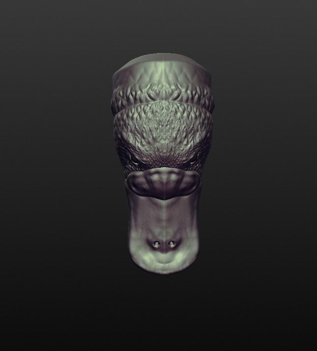 Duck billed Platypus 3D print model_3
