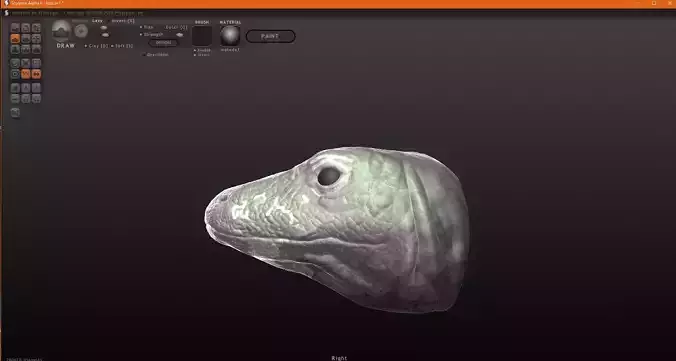 Komodo Dragon 3D print model