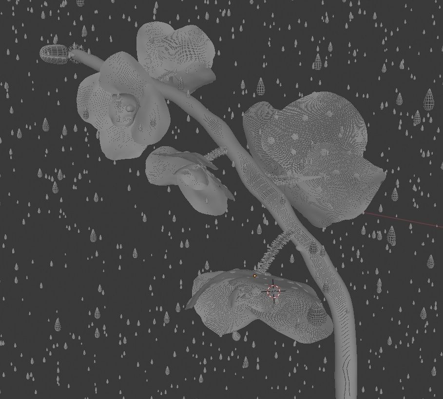 Orchid in rain Free 3D model_1