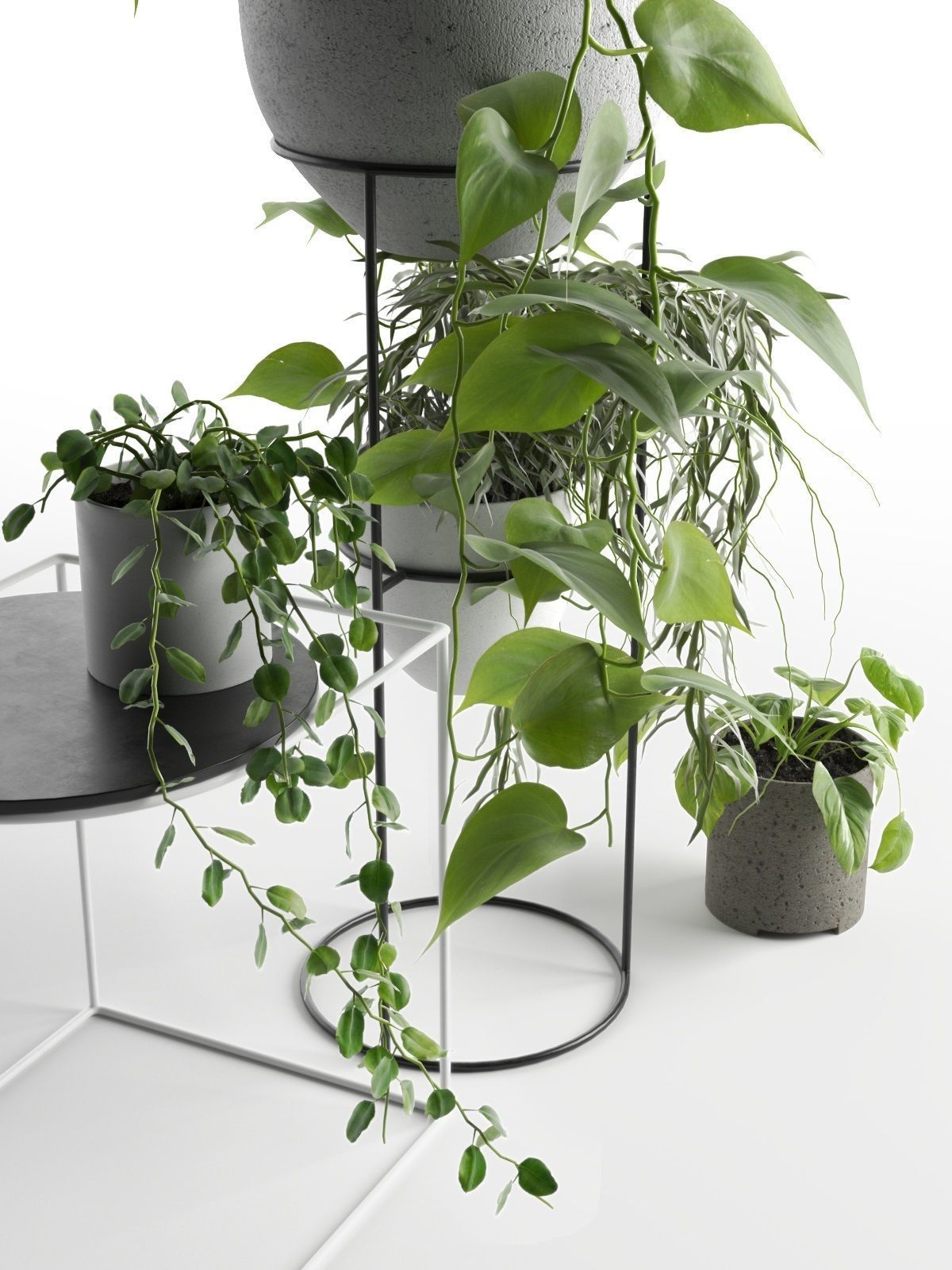 Plant Stand 3D model_1