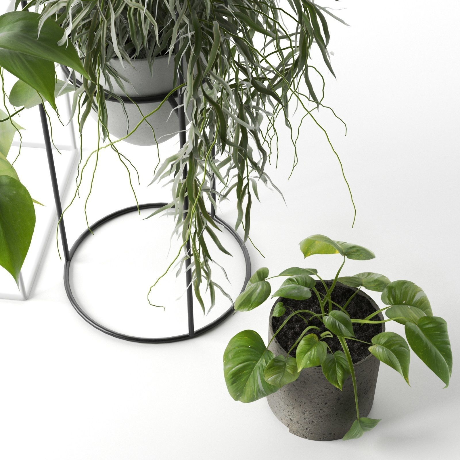 Plant Stand 3D model_2