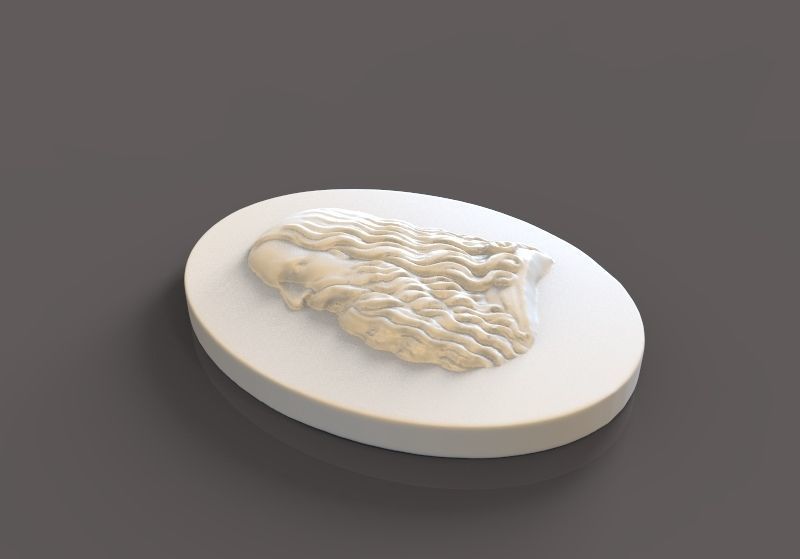 Leonardo Da Vinci 3D print model_1