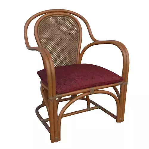 Chair-20 rattan chair with cushion
