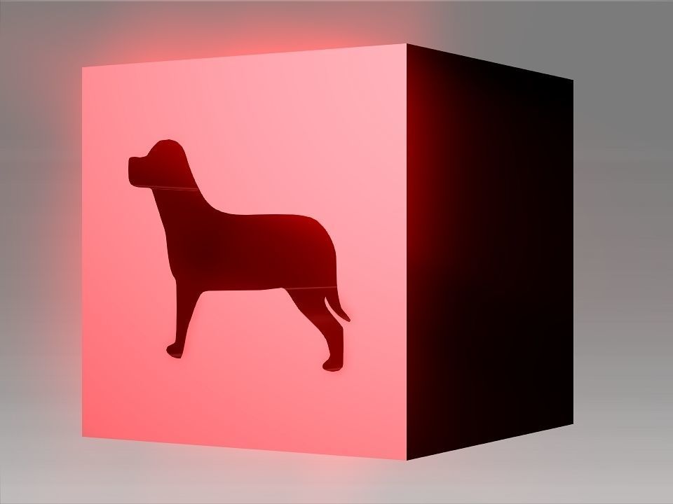 Animals Hollow Blocks Low-poly 3D model_20