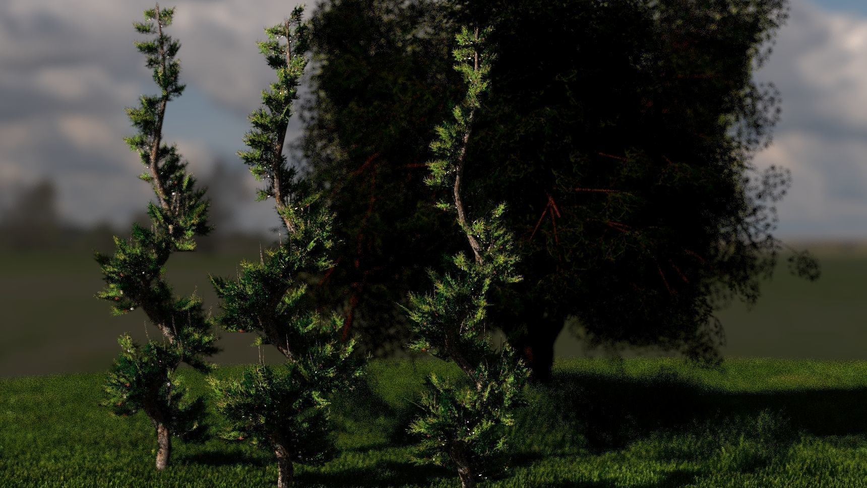 Elm and Spiral Trees with Grass Free 3D model_3