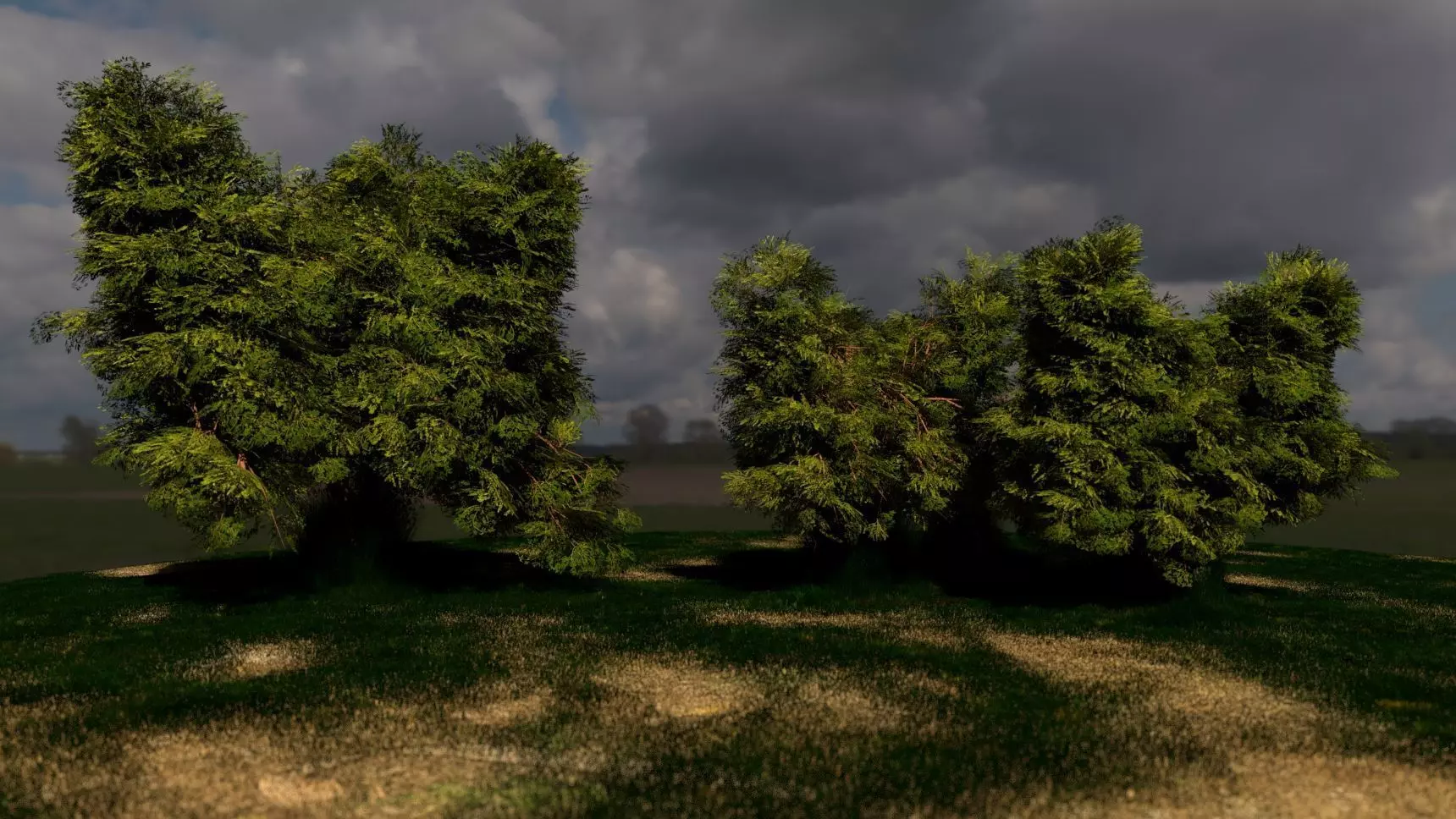 Elm and Spiral Trees with Grass Free 3D model_0